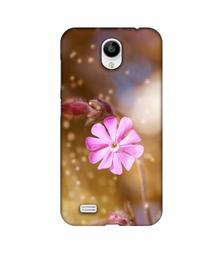 Amazon Brand - Solimo Designer Pink Flower 3D Printed Hard Back Case Mobile Cover for Vivo Y21L