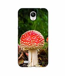 Amazon Brand - Solimo Designer Red Mushroom 3D Printed Hard Back Case Mobile Cover for Vivo Y21L