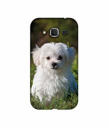 Amazon Brand - Solimo Designer White Dog 3D Printed Hard Back Case Mobile Cover for Samsung Galaxy Core Prime