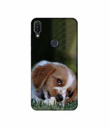 Amazon Brand - Solimo Designer Cute Puppy 3D Printed Hard Back Case Mobile Cover for Asus Zenfone Max Pro M1 ZB601KL