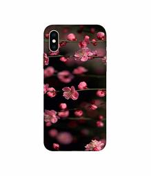 Amazon Brand - Solimo Designer Pink Flowers 3D Printed Hard Back Case Mobile Cover for Apple iPhone Xs Max