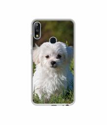 Amazon Brand - Solimo Designer White Dog UV Printed Soft Back Case Mobile Cover for Asus ZenFone Max Pro M2