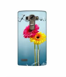 Amazon Brand - Solimo Designer Sun Flower 3D Printed Hard Back Case Mobile Cover for LG G4 Stylus