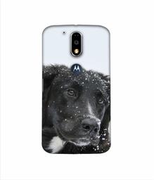 Amazon Brand - Solimo Designer Labrador Dog 3D Printed Hard Back Case Mobile Cover for Motorola Moto G4 Plus (with Logo Cut)