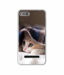 Amazon Brand - Solimo Designer Sleepy Kitten UV Printed Soft Back Case Mobile Cover for Comio C1