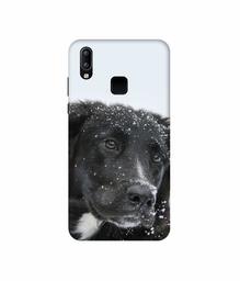 Amazon Brand - Solimo Designer Labrador Dog 3D Printed Hard Back Case Mobile Cover for Vivo Y95