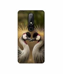 Amazon Brand - Solimo Designer Birds 3D Printed Hard Back Case Mobile Cover for Nokia 6.1 Plus