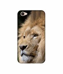 Amazon Brand - Solimo Designer Lion UV Printed Soft Back Case Mobile Cover for Vivo V5 Plus