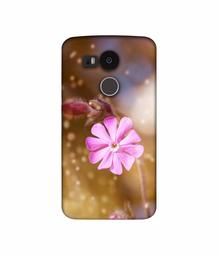 Amazon Brand - Solimo Designer Pink Flower 3D Printed Hard Back Case Mobile Cover for LG Nexus 5X