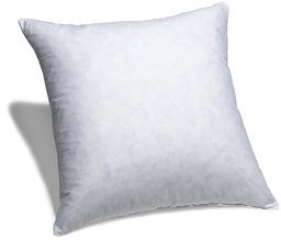 Pinzon Plumas y plumón Almohada Insert