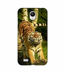 Amazon Brand - Solimo Designer Tiger 3D Printed Hard Back Case Mobile Cover for Vivo Y21L