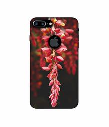 Amazon Brand - Solimo Designer Flowers Photograpy 3D Printed Hard Back Case Mobile Cover for Apple iPhone 7 Plus (Logo Cut)