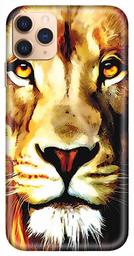 Amazon Brand - Solimo Designer Lion Design 3D Printed Hard Back Case Mobile Cover for Apple iPhone 11 Pro Max