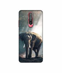 Amazon Brand - Solimo Designer Elephant 3D Printed Hard Back Case Mobile Cover for Poco X2 / Mi Redmi K30