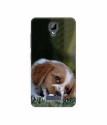 Amazon Brand - Solimo Designer Cute Puppy 3D Printed Hard Back Case Mobile Cover for Gionee P7 Max