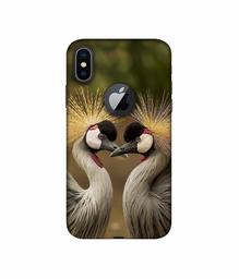 Amazon Brand - Solimo Designer Birds 3D Printed Hard Back Case Mobile Cover for Apple iPhone X (Logo Cut)