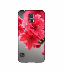 Amazon Brand - Solimo Designer Blossom Like Flower 3D Printed Hard Back Case Mobile Cover for Samsung Galaxy S5 i9600