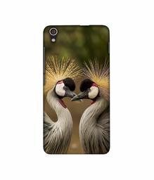 Amazon Brand - Solimo Designer Birds 3D Printed Hard Back Case Mobile Cover for Lenovo S850