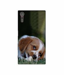 Amazon Brand - Solimo Designer Cute Puppy 3D Printed Hard Back Case Mobile Cover for Sony Xperia XZ Dual