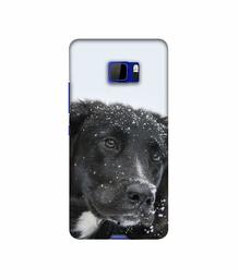 Amazon Brand - Solimo Designer Labrador Dog 3D Printed Hard Back Case Mobile Cover for HTC U Ultra