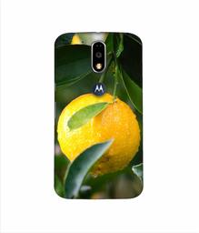 Amazon Brand - Solimo Designer Lemon 3D Printed Hard Back Case Mobile Cover for Motorola Moto G4 Plus (with Logo Cut)