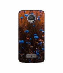 Amazon Brand - Solimo Designer Flower Photograpy 3D Printed Hard Back Case Mobile Cover for Moto Z2 Play