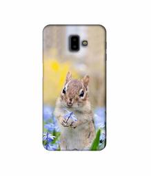 Amazon Brand - Solimo Designer Squirrel 3D Printed Hard Back Case Mobile Cover for Samsung Galaxy J6 Plus