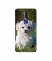 Amazon Brand - Solimo Designer White Dog 3D Printed Hard Back Case Mobile Cover for Nokia 3.1 Plus