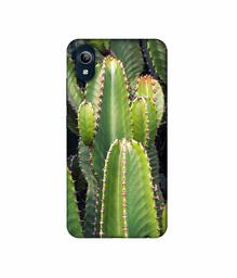 Amazon Brand - Solimo Designer Desert Plant 3D Printed Hard Back Case Mobile Cover for Vivo Y91i