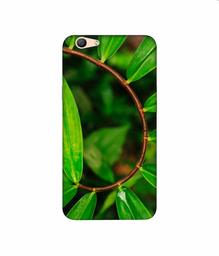 Amazon Brand - Solimo Designer Leaf Photography 3D Printed Hard Back Case Mobile Cover for Oppo F1s