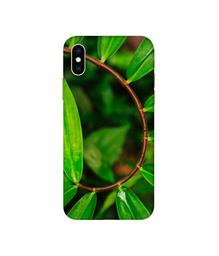 Amazon Brand - Solimo Designer Leaf Photography 3D Printed Hard Back Case Mobile Cover for Apple iPhone Xs Max