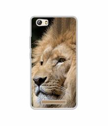 Amazon Brand - Solimo Designer Lion UV Printed Soft Back Case Mobile Cover for Gionee Marathon M5 lite