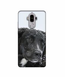 Amazon Brand - Solimo Designer Labrador Dog 3D Printed Hard Back Case Mobile Cover for Huawei Mate 9