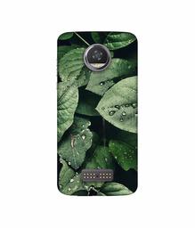 Amazon Brand - Solimo Designer Leafs 3D Printed Hard Back Case Mobile Cover for Moto Z2 Play