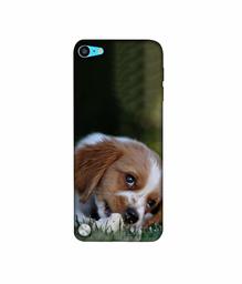 Amazon Brand - Solimo Designer Cute Puppy 3D Printed Hard Back Case Mobile Cover for Apple iPod Touch 5th Generation