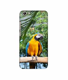 Amazon Brand - Solimo Designer Macaw Bird 3D Printed Hard Back Case Mobile Cover for Vivo Y69