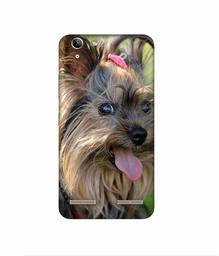 Amazon Brand - Solimo Designer Hairy Puppy 3D Printed Hard Back Case Mobile Cover for Lenovo Vibe K5 Plus