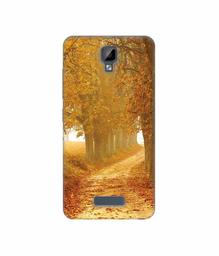 Amazon Brand - Solimo Designer Autumn Scene 3D Printed Hard Back Case Mobile Cover for Gionee P7 Max