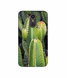 Amazon Brand - Solimo Designer Desert Plant 3D Printed Hard Back Case Mobile Cover for LG K10 (2017)