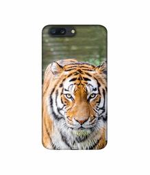 Amazon Brand - Solimo Designer Tiger in Water 3D Printed Hard Back Case Mobile Cover for Oneplus 5