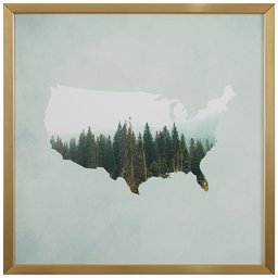 Amazon Brand – Rivet American Forest Map Wall Art Print in Gold Wood Frame, 20