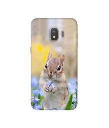 Amazon Brand - Solimo Designer Squirrel 3D Printed Hard Back Case Mobile Cover for Samsung Galaxy J2 Core