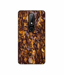 Amazon Brand - Solimo Designer Dry Leafs 3D Printed Hard Back Case Mobile Cover for Nokia 6.1 Plus