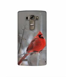 Amazon Brand - Solimo Designer Red Engry Bird 3D Printed Hard Back Case Mobile Cover for LG G4 Stylus