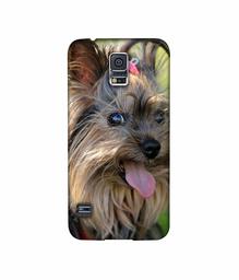 Amazon Brand - Solimo Designer Hairy Puppy 3D Printed Hard Back Case Mobile Cover for Samsung Galaxy S5 i9600