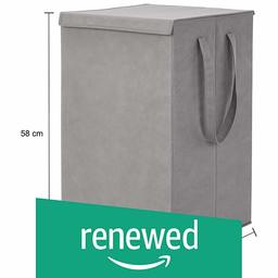 Amazon Brand - Solimo Fabric Foldable Laundry Organiser, Grey