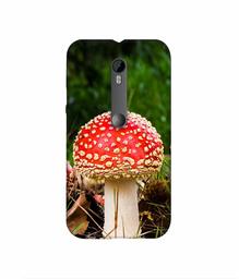 Amazon Brand - Solimo Designer Red Mushroom 3D Printed Hard Back Case Mobile Cover for Motorola Moto G 3rd Generation