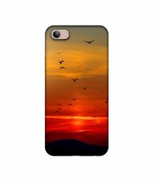 Amazon Brand - Solimo Designer Group Birds 3D Printed Hard Back Case Mobile Cover for Vivo Y81i