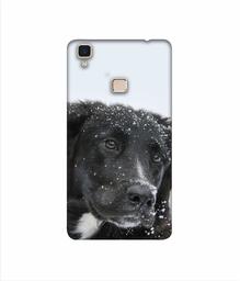 Amazon Brand - Solimo Designer Labrador Dog 3D Printed Hard Back Case Mobile Cover for Vivo V3 Max