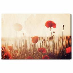 Amazon Brand – Stone & Beam Contemporary Red Poppies Print on Canvas, 36